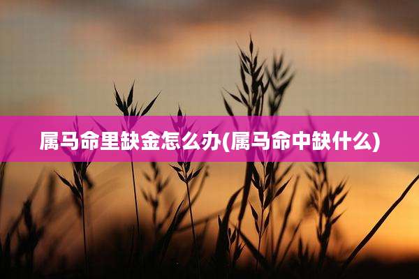 属马命里缺金怎么办(属马命中缺什么)