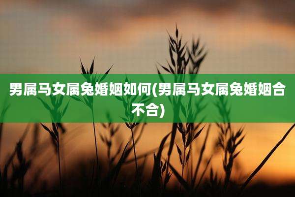 男属马女属兔婚姻如何(男属马女属兔婚姻合不合)