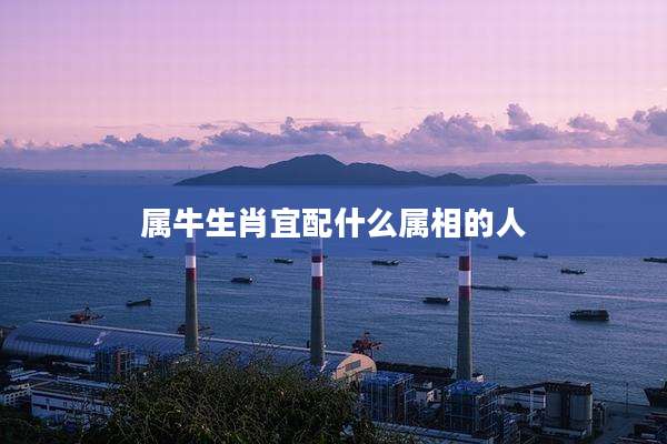 属牛生肖宜配什么属相的人