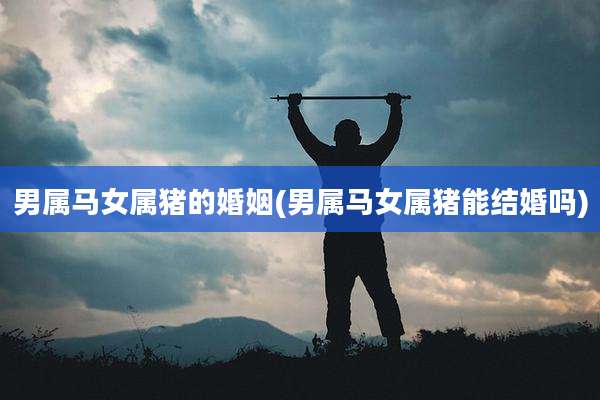 男属马女属猪的婚姻(男属马女属猪能结婚吗)