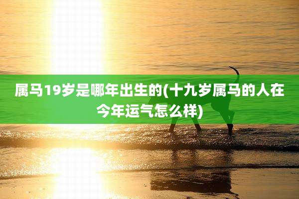 属马19岁是哪年出生的(十九岁属马的人在今年运气怎么样)