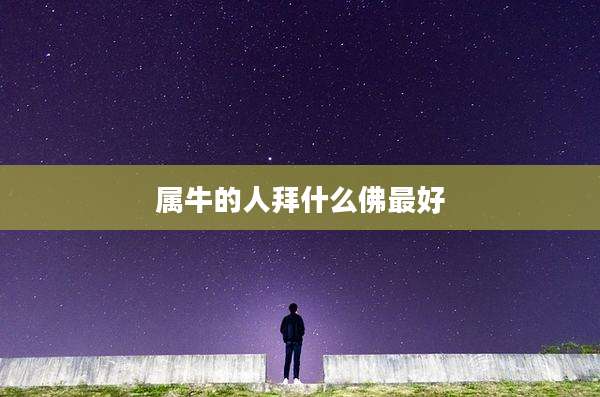 属牛的人拜什么佛最好