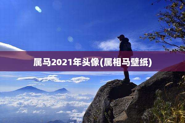 属马2021年头像(属相马壁纸)