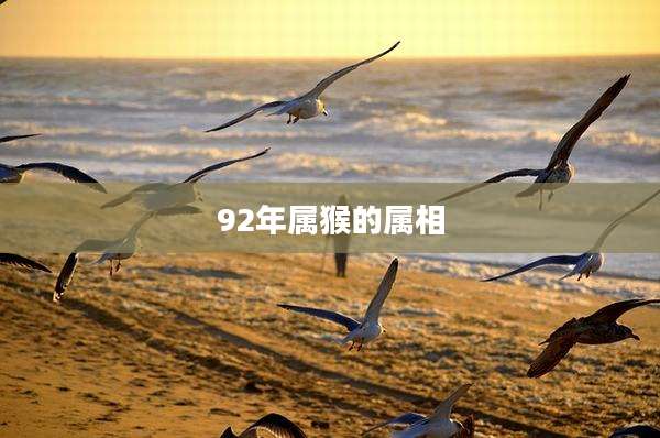 92年属猴的属相