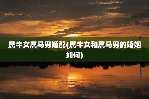 属牛女属马男婚配(属牛女和属马男的婚姻如何)
