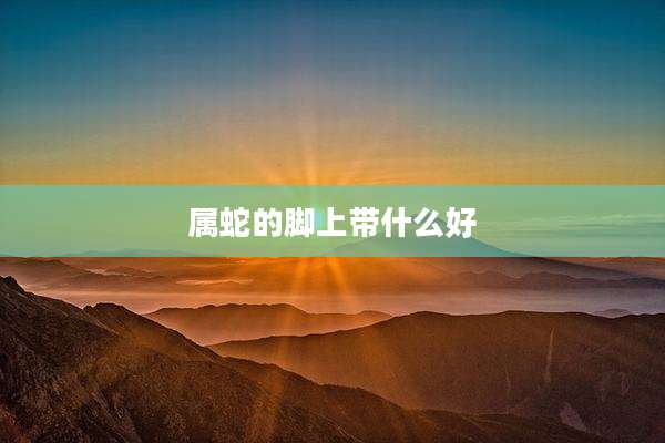 属蛇的脚上带什么好