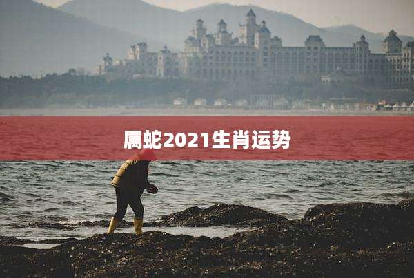 属蛇2021生肖运势