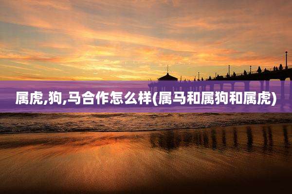 属虎,狗,马合作怎么样(属马和属狗和属虎)