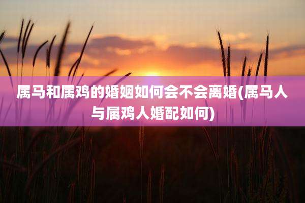 属马和属鸡的婚姻如何会不会离婚(属马人与属鸡人婚配如何)