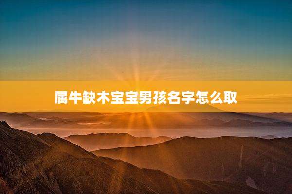 属牛缺木宝宝男孩名字怎么取
