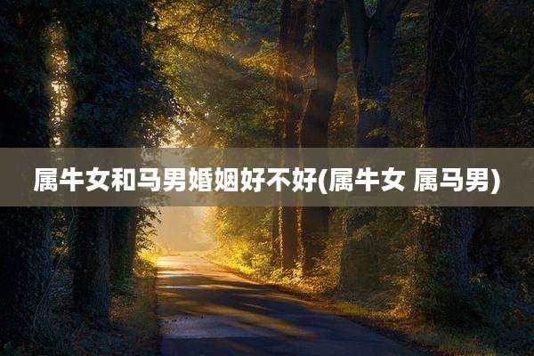 属牛女和马男婚姻好不好(属牛女 属马男)