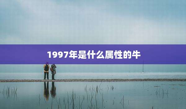 1997年是什么属性的牛