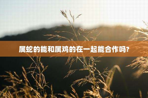 属蛇的能和属鸡的在一起能合作吗?