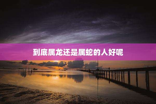 到底属龙还是属蛇的人好呢