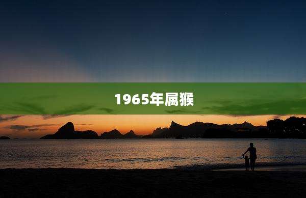 1965年属猴