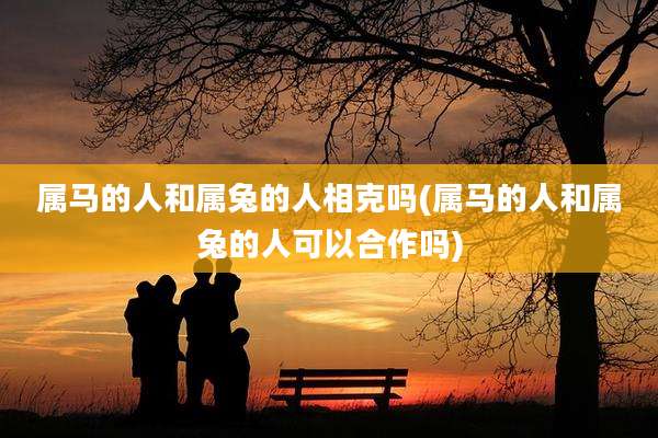属马的人和属兔的人相克吗(属马的人和属兔的人可以合作吗)