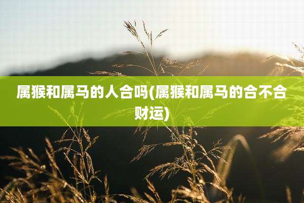 属猴和属马的人合吗(属猴和属马的合不合财运)