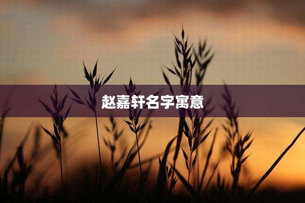 赵嘉轩名字寓意