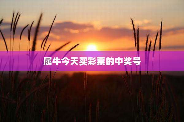 属牛今天买彩票的中奖号