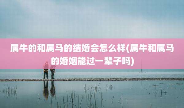 属牛的和属马的结婚会怎么样(属牛和属马的婚姻能过一辈子吗)