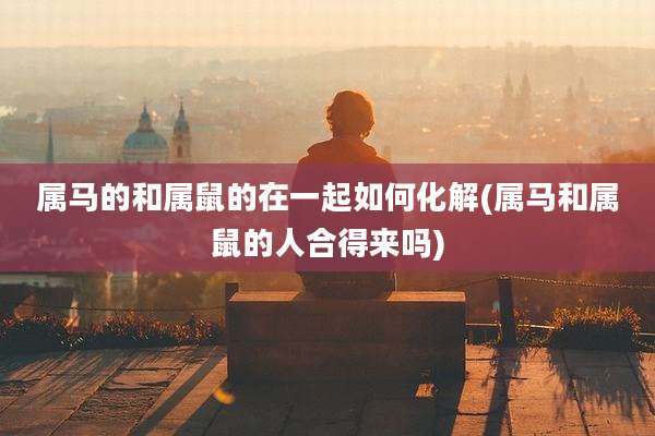 属马的和属鼠的在一起如何化解(属马和属鼠的人合得来吗)