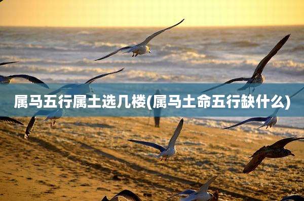 属马五行属土选几楼(属马土命五行缺什么)