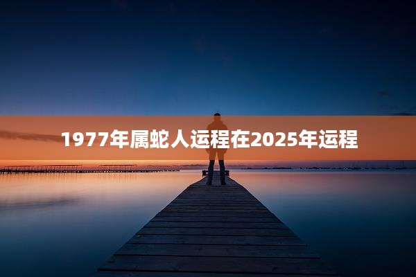 1977年属蛇人运程在2025年运程