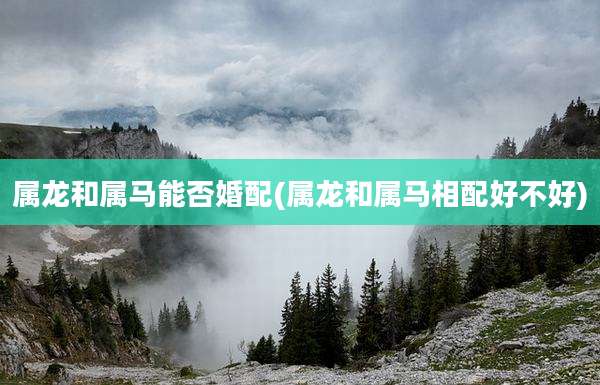 属龙和属马能否婚配(属龙和属马相配好不好)