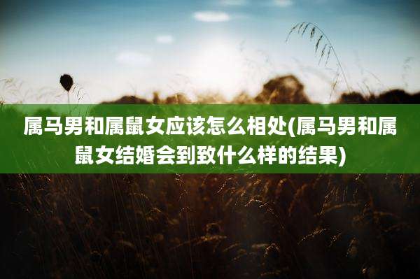 属马男和属鼠女应该怎么相处(属马男和属鼠女结婚会到致什么样的结果)