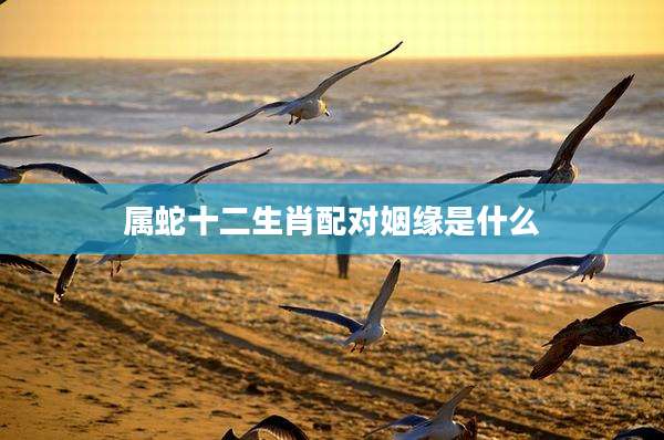属蛇十二生肖配对姻缘是什么