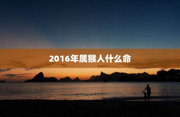 2016年属猴人什么命
