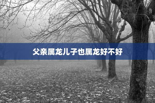 父亲属龙儿子也属龙好不好