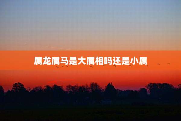 属龙属马是大属相吗还是小属