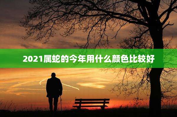 2021属蛇的今年用什么颜色比较好