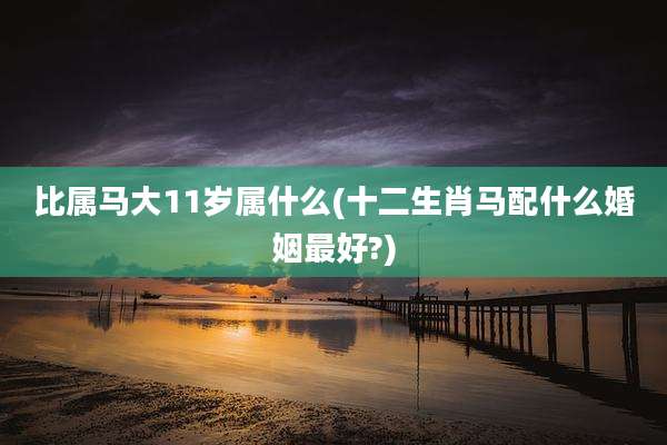 比属马大11岁属什么(十二生肖马配什么婚姻最好?)