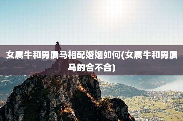 女属牛和男属马相配婚姻如何(女属牛和男属马的合不合)