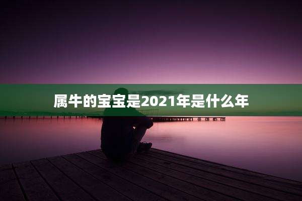 属牛的宝宝是2021年是什么年