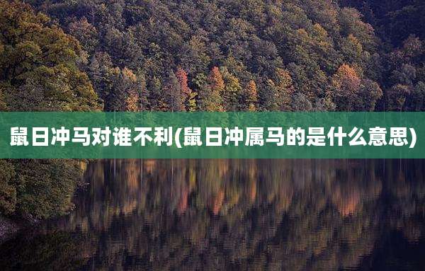 鼠日冲马对谁不利(鼠日冲属马的是什么意思)