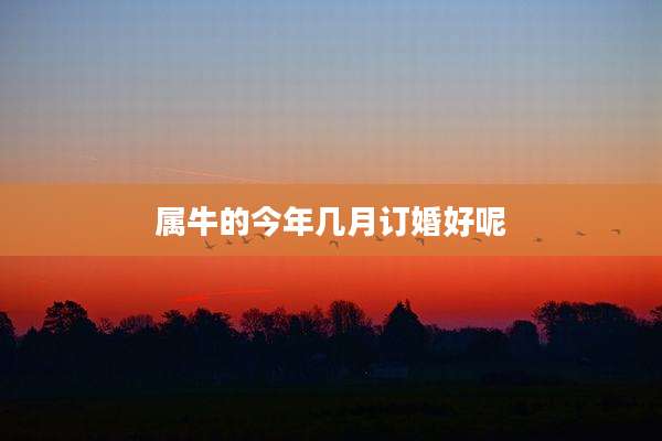 属牛的今年几月订婚好呢