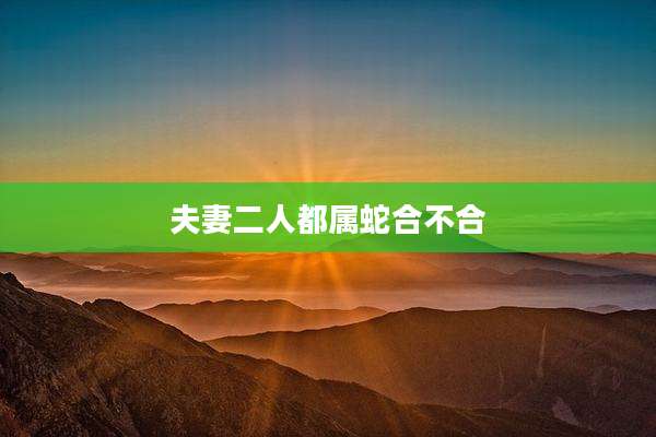 夫妻二人都属蛇合不合