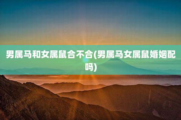 男属马和女属鼠合不合(男属马女属鼠婚姻配吗)