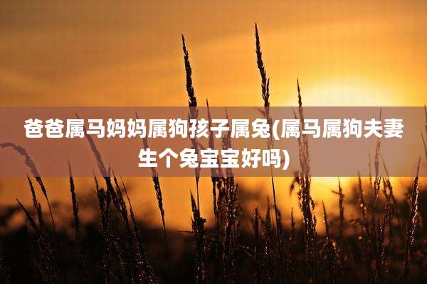 爸爸属马妈妈属狗孩子属兔(属马属狗夫妻生个兔宝宝好吗)