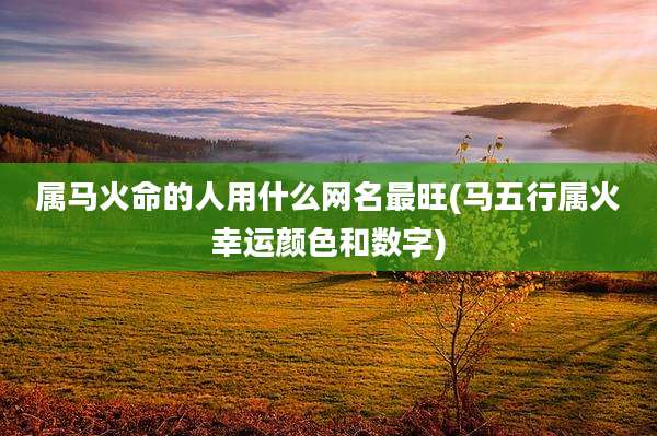 属马火命的人用什么网名最旺(马五行属火幸运颜色和数字)