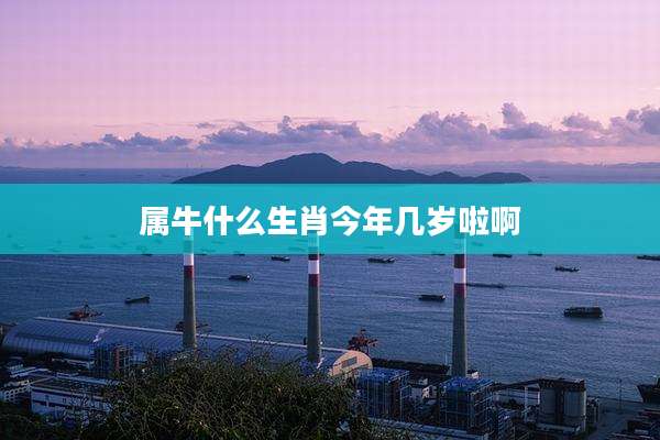 属牛什么生肖今年几岁啦啊