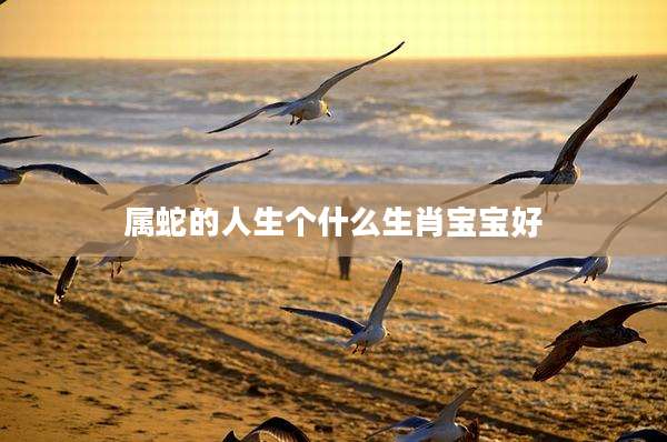 属蛇的人生个什么生肖宝宝好