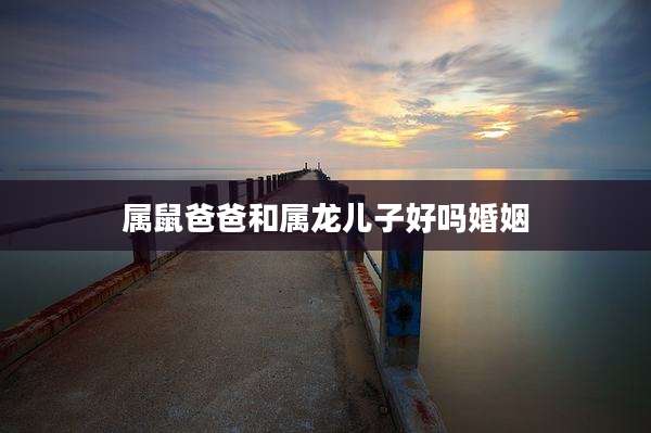 属鼠爸爸和属龙儿子好吗婚姻