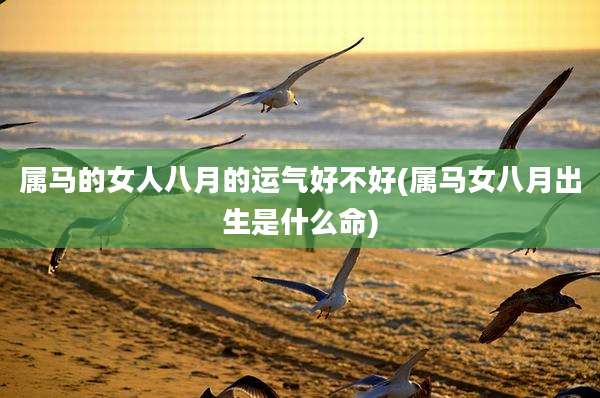 属马的女人八月的运气好不好(属马女八月出生是什么命)