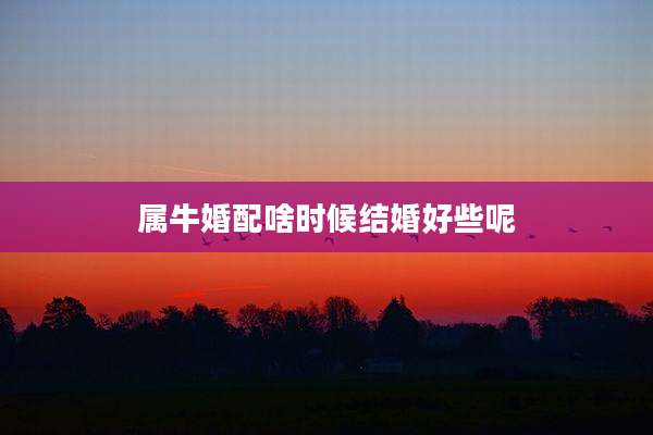 属牛婚配啥时候结婚好些呢
