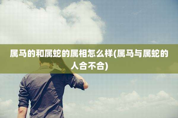 属马的和属蛇的属相怎么样(属马与属蛇的人合不合)