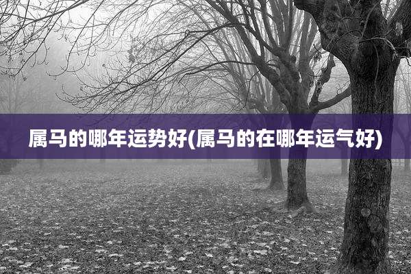 属马的哪年运势好(属马的在哪年运气好)